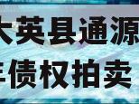 四川大英县通源实业2023年债权拍卖