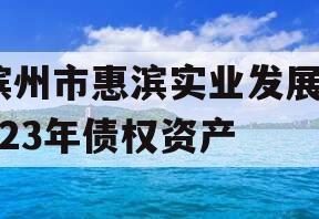 滨州市惠滨实业发展2023年债权资产