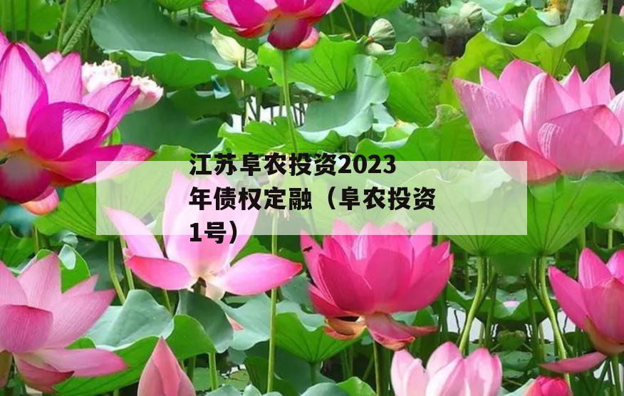 江苏阜农投资2023年债权定融（阜农投资1号）