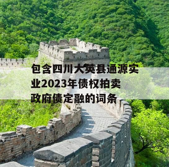 包含四川大英县通源实业2023年债权拍卖政府债定融的词条