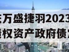 重庆万盛捷羽2023年债权资产政府债定融