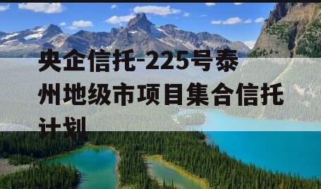 央企信托-225号泰州地级市项目集合信托计划