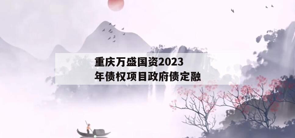 重庆万盛国资2023年债权项目政府债定融