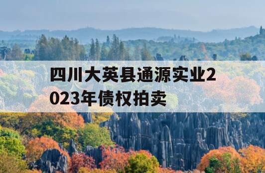 四川大英县通源实业2023年债权拍卖