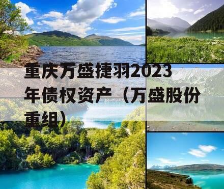 重庆万盛捷羽2023年债权资产（万盛股份重组）