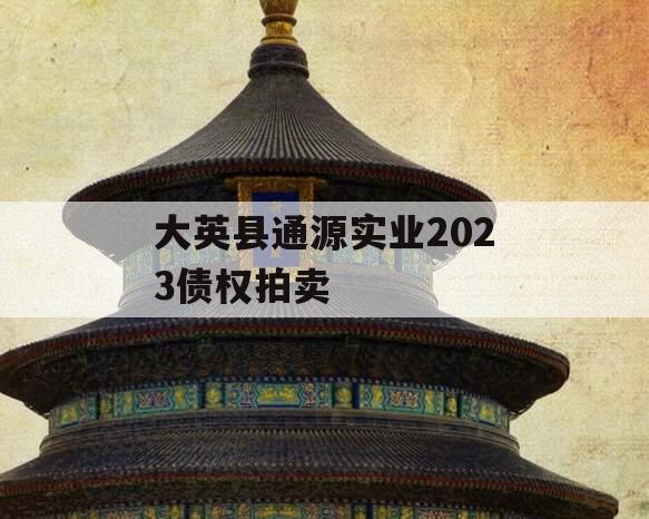 大英县通源实业2023债权拍卖