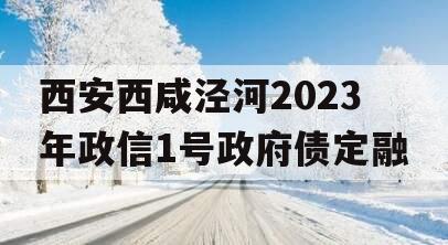 西安西咸泾河2023年政信1号政府债定融