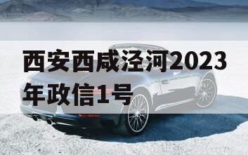 西安西咸泾河2023年政信1号