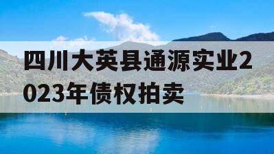 四川大英县通源实业2023年债权拍卖