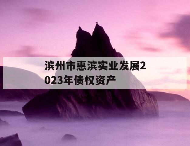 滨州市惠滨实业发展2023年债权资产