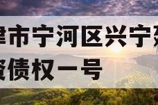 天津市宁河区兴宁建设投资债权一号