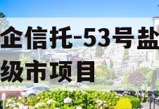 央企信托-53号盐城地级市项目