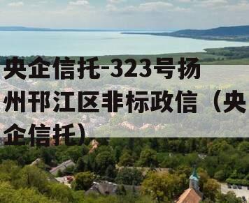 央企信托-323号扬州邗江区非标政信（央企信托）