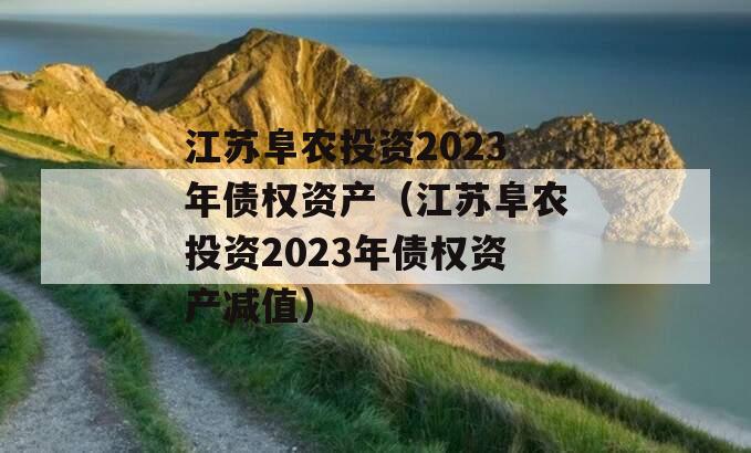 江苏阜农投资2023年债权资产（江苏阜农投资2023年债权资产减值）