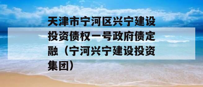 天津市宁河区兴宁建设投资债权一号政府债定融（宁河兴宁建设投资集团）