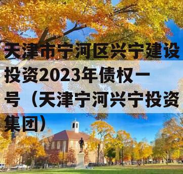 天津市宁河区兴宁建设投资2023年债权一号（天津宁河兴宁投资集团）