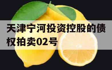 天津宁河投资控股的债权拍卖02号