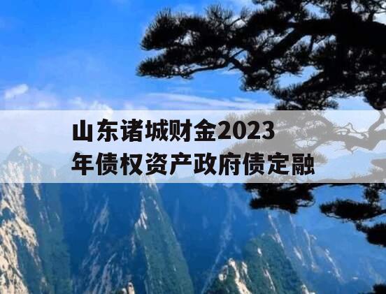 山东诸城财金2023年债权资产政府债定融