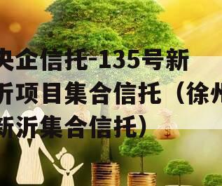 央企信托-135号新沂项目集合信托（徐州新沂集合信托）