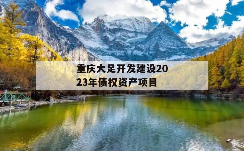 重庆大足开发建设2023年债权资产项目