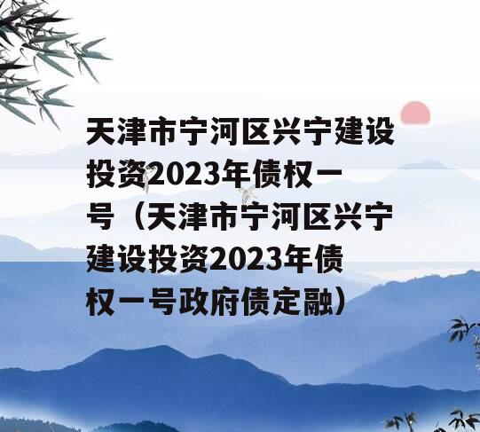 天津市宁河区兴宁建设投资2023年债权一号（天津市宁河区兴宁建设投资2023年债权一号政府债定融）