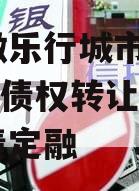 安徽徽乐行城市建设2023年债权转让项目政府债定融