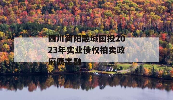 四川简阳融城国投2023年实业债权拍卖政府债定融