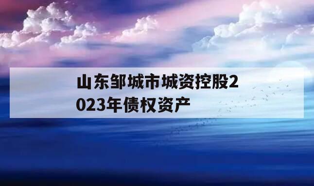 山东邹城市城资控股2023年债权资产