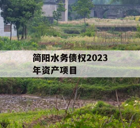 简阳水务债权2023年资产项目