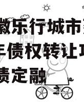 安徽徽乐行城市建设2023年债权转让项目政府债定融