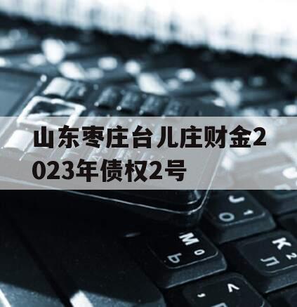 山东枣庄台儿庄财金2023年债权2号