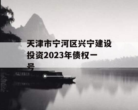 天津市宁河区兴宁建设投资2023年债权一号