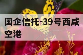 国企信托-39号西咸空港