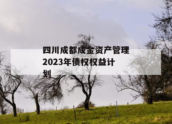 四川成都成金资产管理2023年债权权益计划