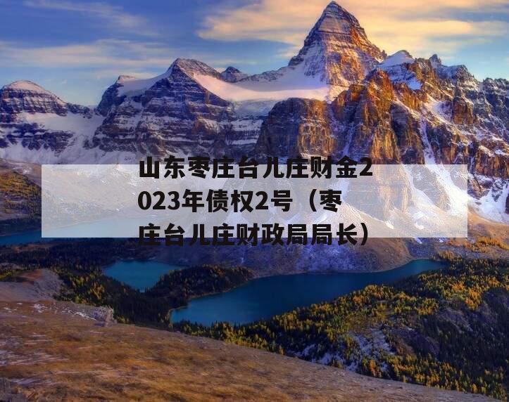 山东枣庄台儿庄财金2023年债权2号（枣庄台儿庄财政局局长）