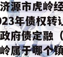 山东济源市虎岭经济发展2023年债权转让项目政府债定融（济源市虎岭属于哪个镇）