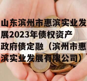 山东滨州市惠滨实业发展2023年债权资产政府债定融（滨州市惠滨实业发展有限公司）