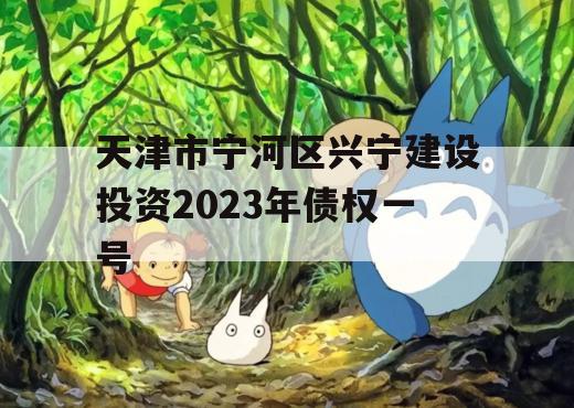 天津市宁河区兴宁建设投资2023年债权一号