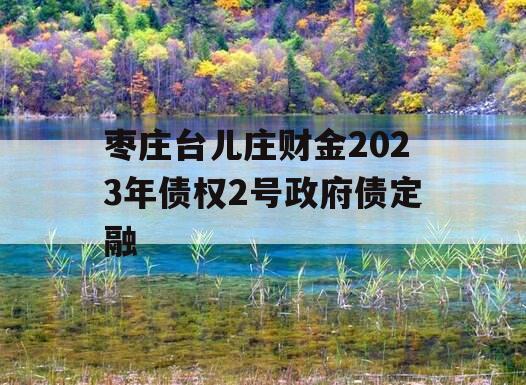 枣庄台儿庄财金2023年债权2号政府债定融