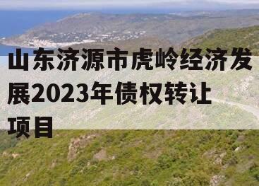 山东济源市虎岭经济发展2023年债权转让项目