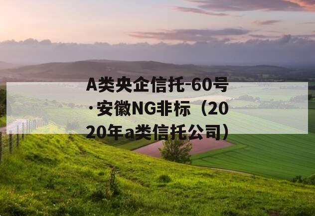 A类央企信托-60号·安徽NG非标（2020年a类信托公司）