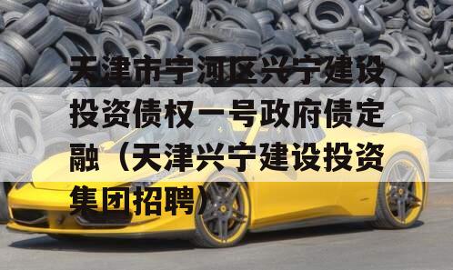 天津市宁河区兴宁建设投资债权一号政府债定融（天津兴宁建设投资集团招聘）