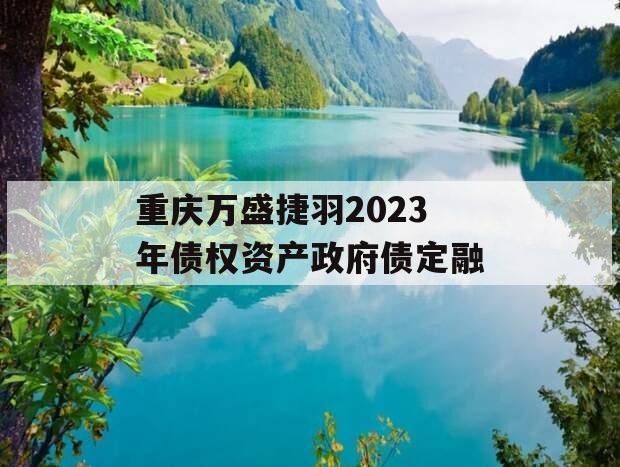 重庆万盛捷羽2023年债权资产政府债定融