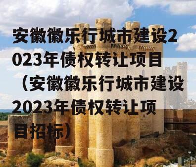 安徽徽乐行城市建设2023年债权转让项目（安徽徽乐行城市建设2023年债权转让项目招标）