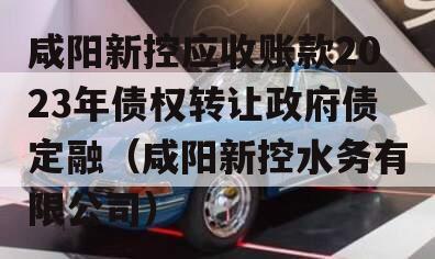 咸阳新控应收账款2023年债权转让政府债定融（咸阳新控水务有限公司）