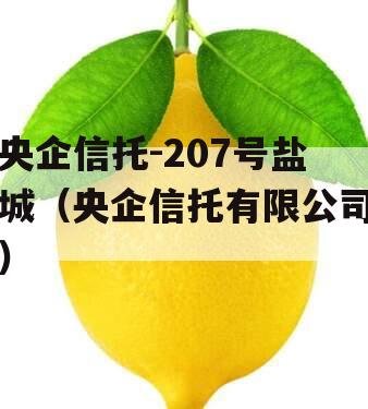 央企信托-207号盐城（央企信托有限公司）