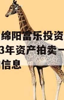 关于绵阳富乐投资特定2023年资产拍卖一期的信息