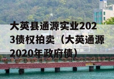 大英县通源实业2023债权拍卖（大英通源2020年政府债）