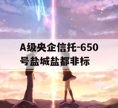 A级央企信托-650号盐城盐都非标