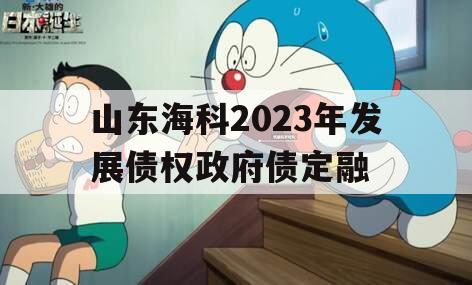 山东海科2023年发展债权政府债定融